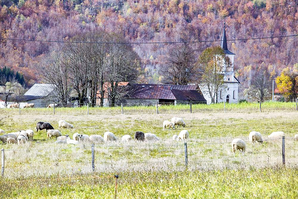 Gdzie się zatrzymać w Bužim