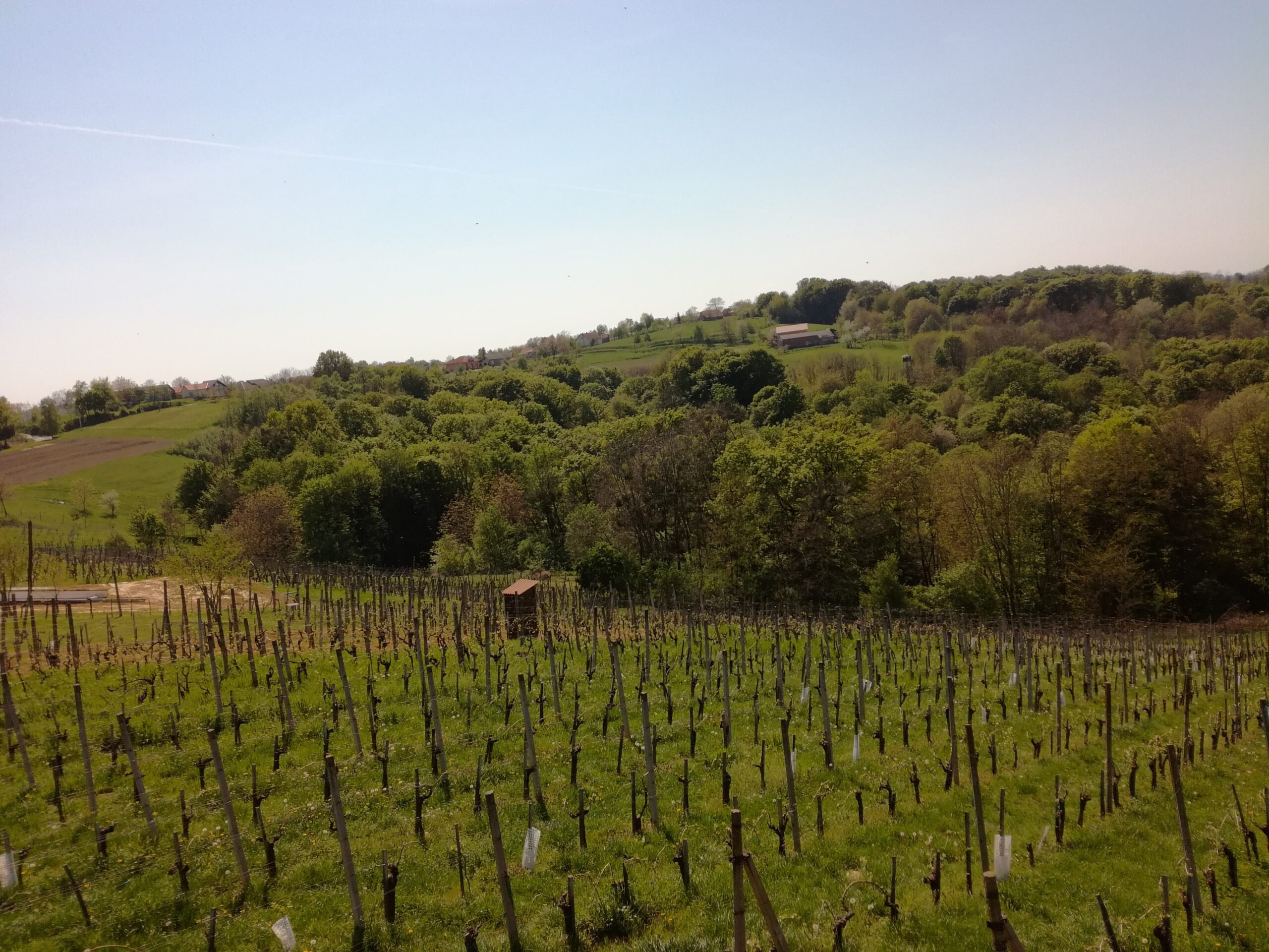Where to stay in Kapelščak