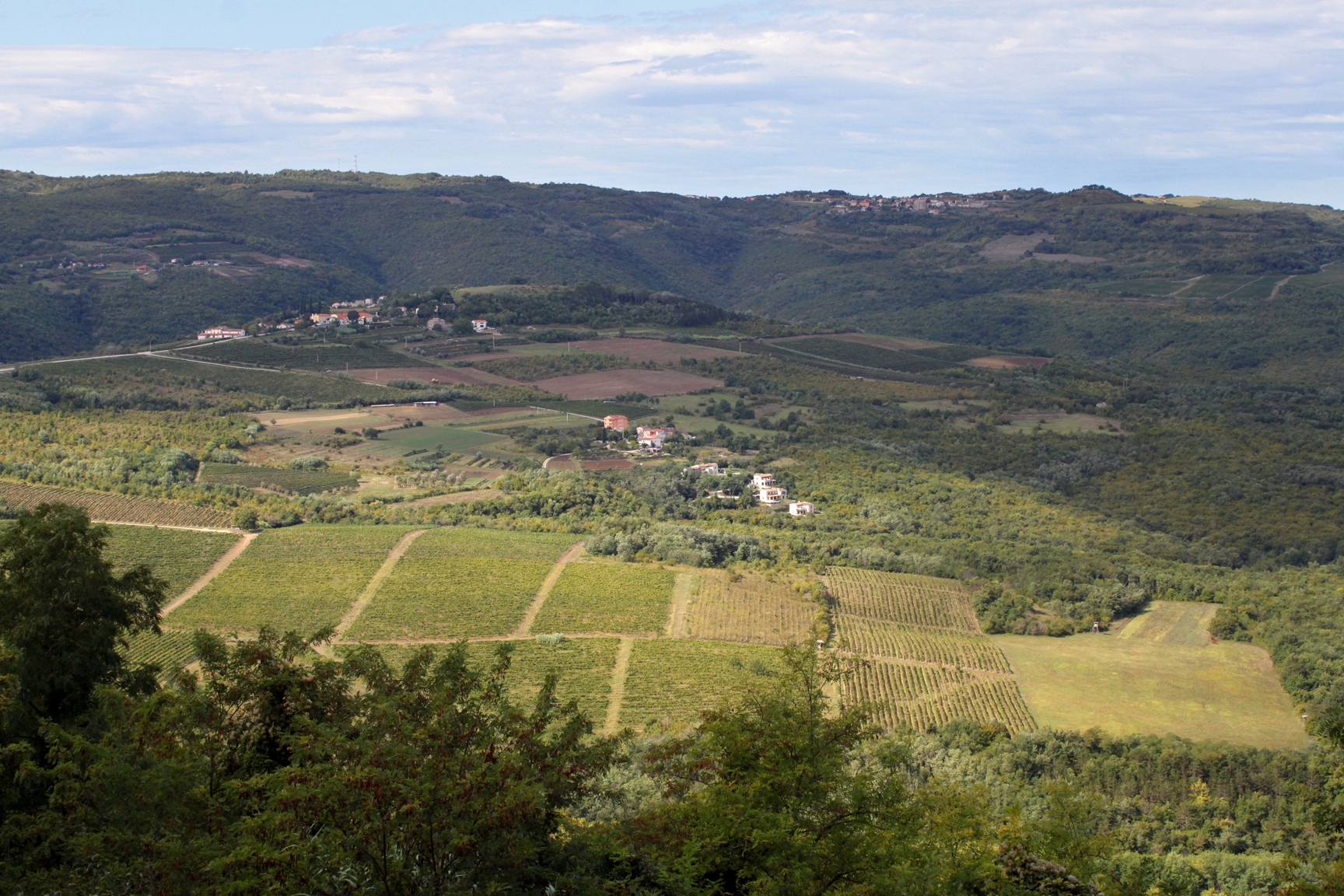 Where to stay on the Središnja Istra riviera