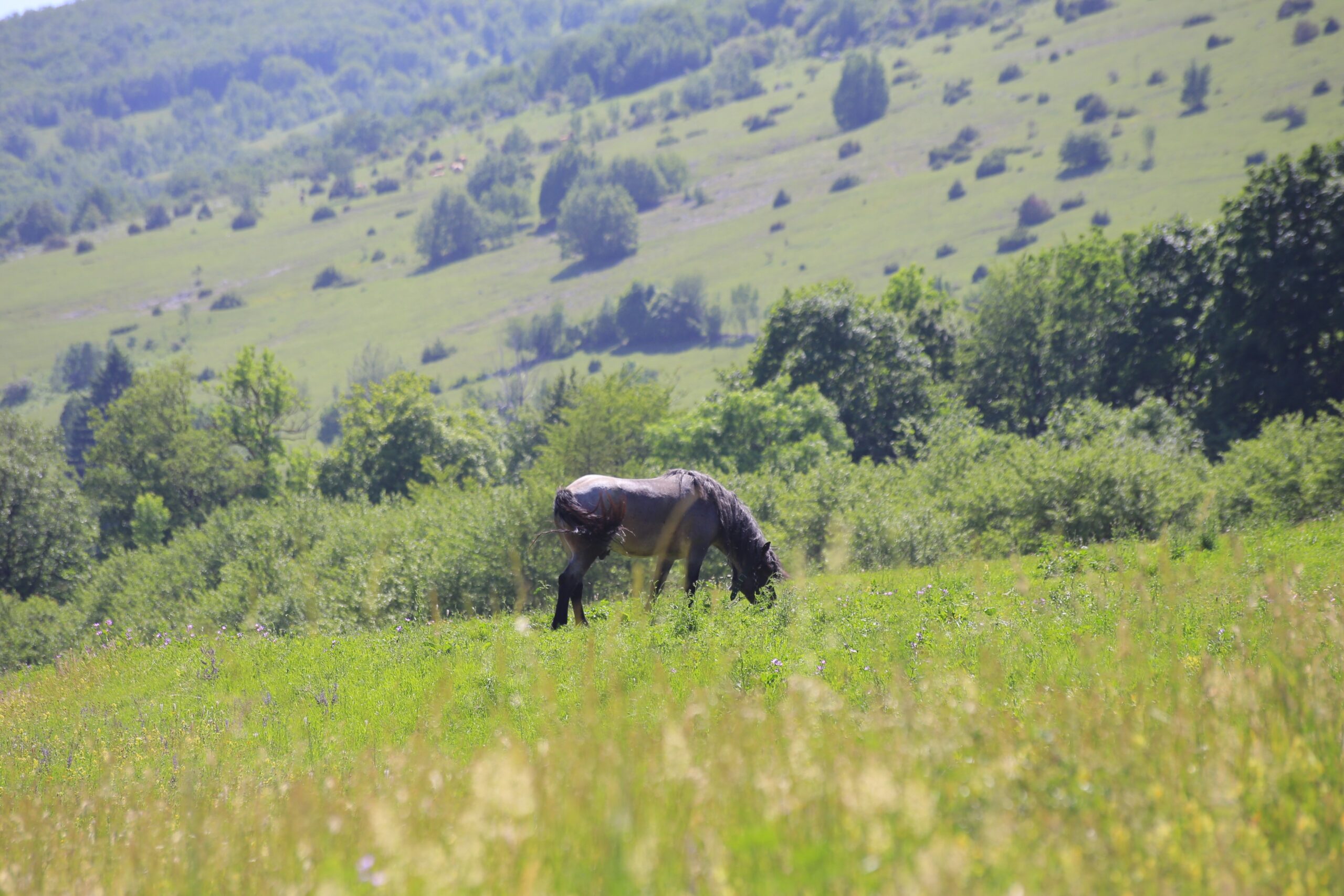 Wo man an der Riviera Velebit übernachten kann